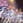 Snow Halation
