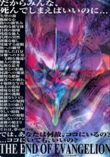 Neon Genesis Evangelion New Theatrical Version HA Poster Japan Anime Destruction