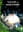 My Neighbor Totoro