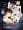Bubblegum Crisis Tokyo 2040