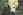 Pandora Hearts DVD Specials