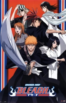 Bleach