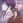 Rurouni Kenshin:  Seisouhen