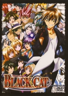 Black Cat Xiii