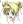 Aaeru