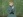 Steinberg, Yukariko