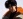 Aoshi