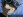 Horokeu