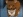 Ein