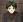 Fujisaki, Suguru