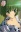 Noa