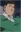 Okamoto, Kouhei