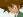 Taichi