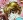  Hyou