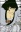 Goemon