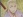 Shichiroji