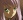 Kazahana, Mashiro