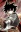 Shiki