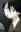 Nozomu