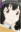 Hoshino, Kirara