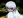 Zeon