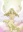 Shiru