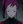 Ayane