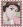 Kamada, Masao