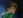 Pidge