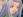 Shiori