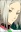 Yukine