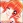  Cocona