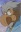 Gilmore, Isaac
