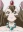Mintai