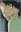 Tadami, Anna