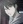 Kirihara, Naoya
