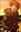 Yuuichi