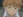 Riou