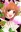 Honoka