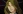 Bundle, Leonardo Medici