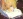  Nozomu