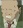Imada, Kazuyoshi