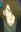 Mamou, Kyosuke