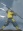 Blade Braver, Yellow