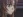 Ikoma, Yumi