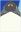 King Penguin