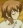 Tono, Junna
