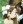 Ohshima, Reiya