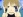 Fukagawa, Haruka