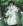 Shino
